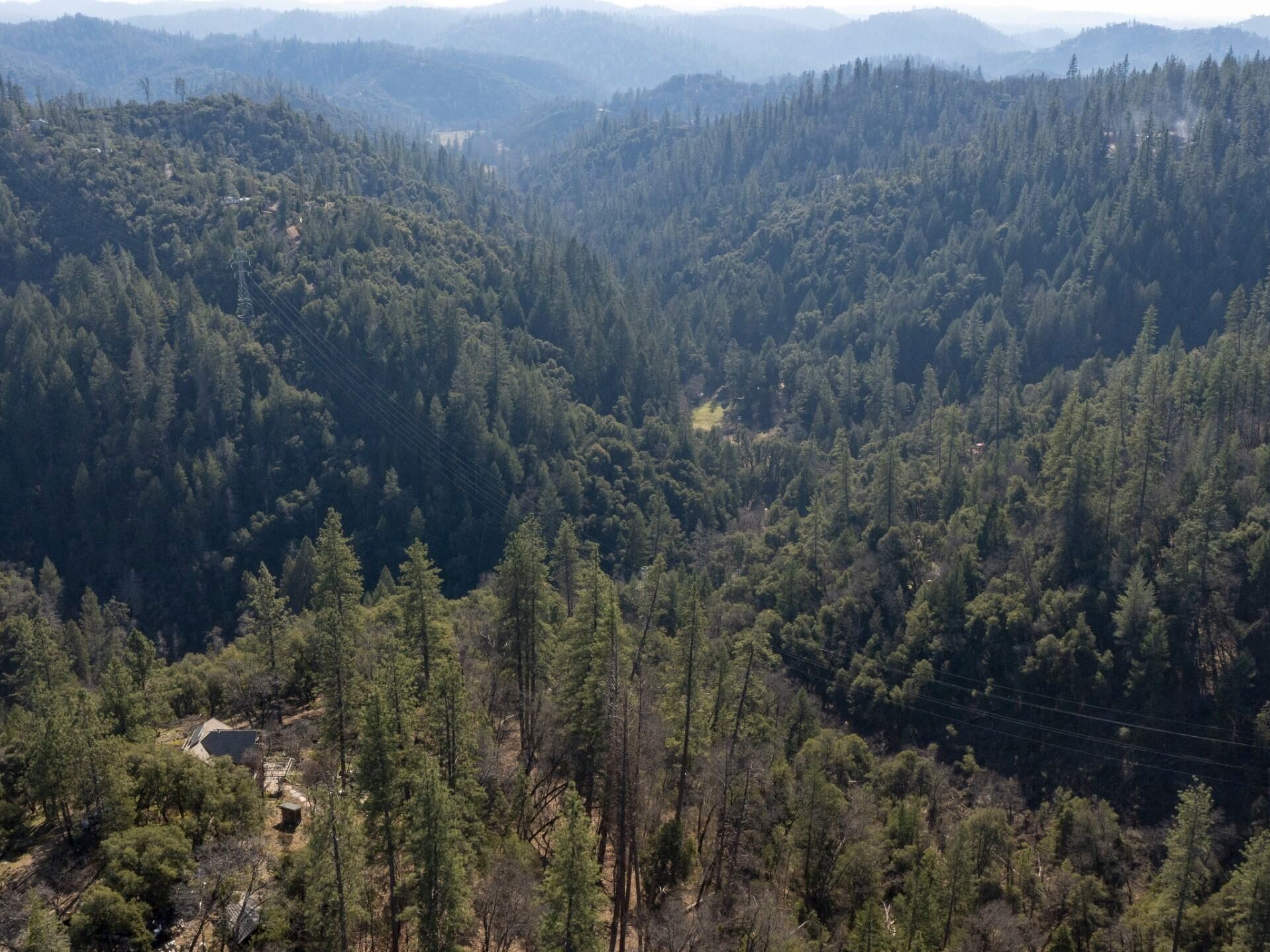 Drone_Woodpecker_Ravine