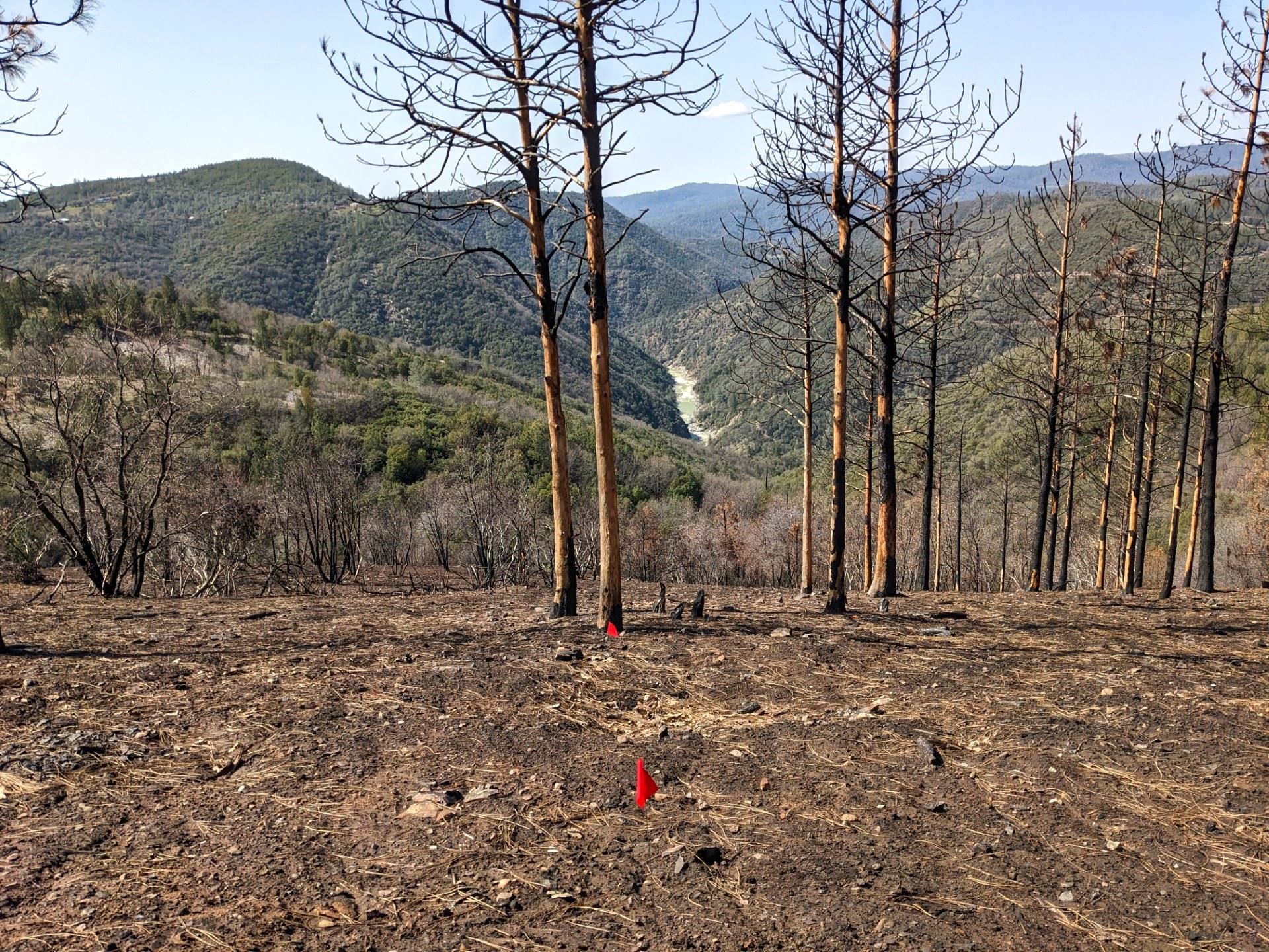 View of Yuba River with prescribed burn. 