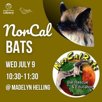 Newsflash Norcal bats 2025