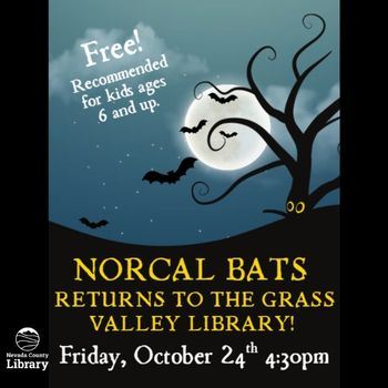 Newsflash Norcal bats Fall 2025