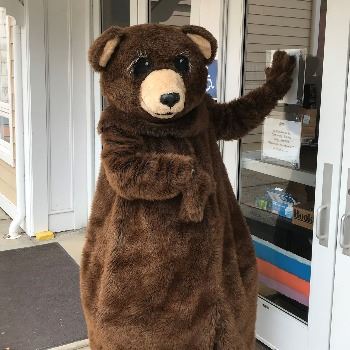 Person in a bear suit