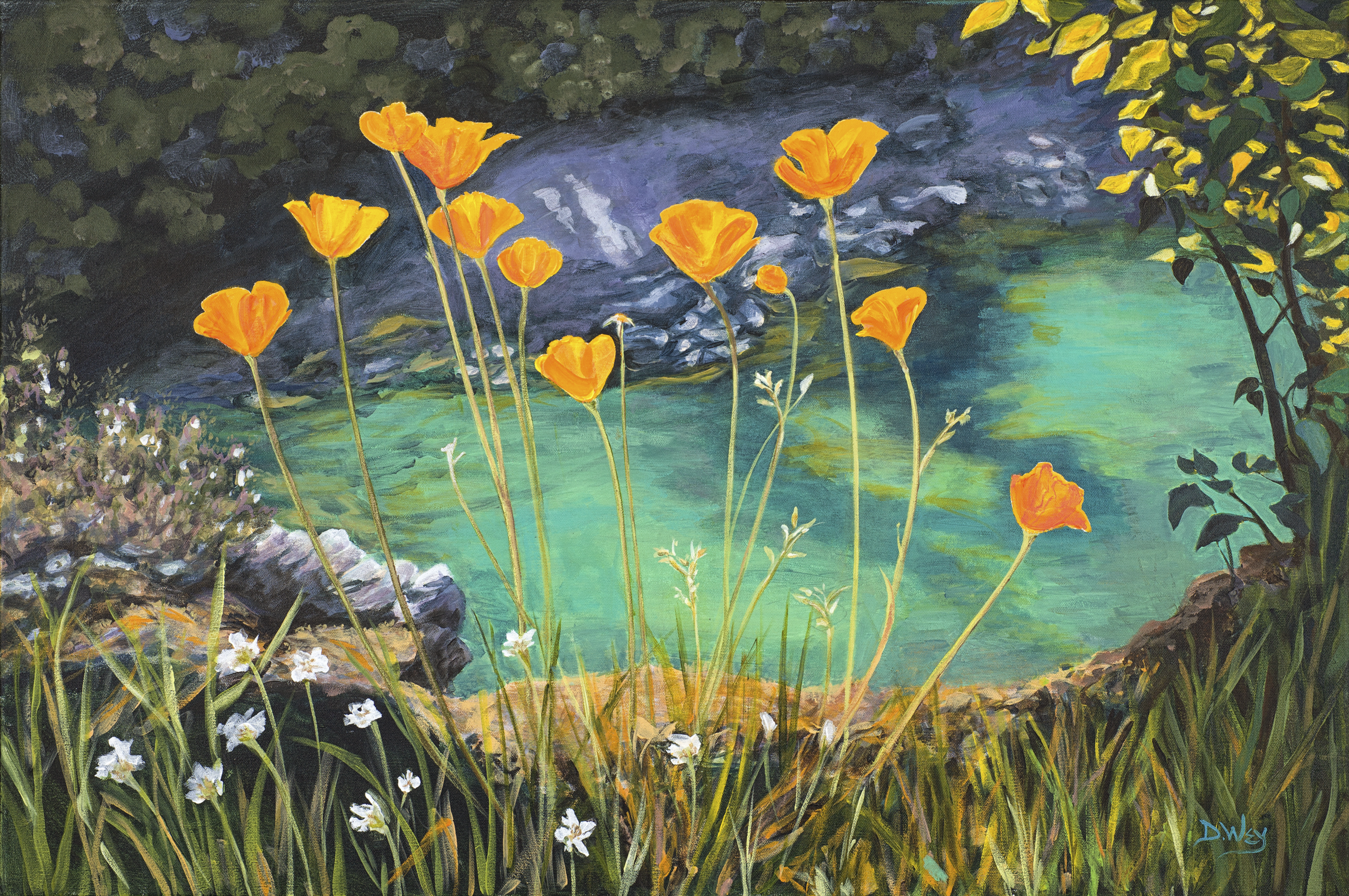 Poppies looking over a riverbank with water flowing by and a beach on the far side of the river.
