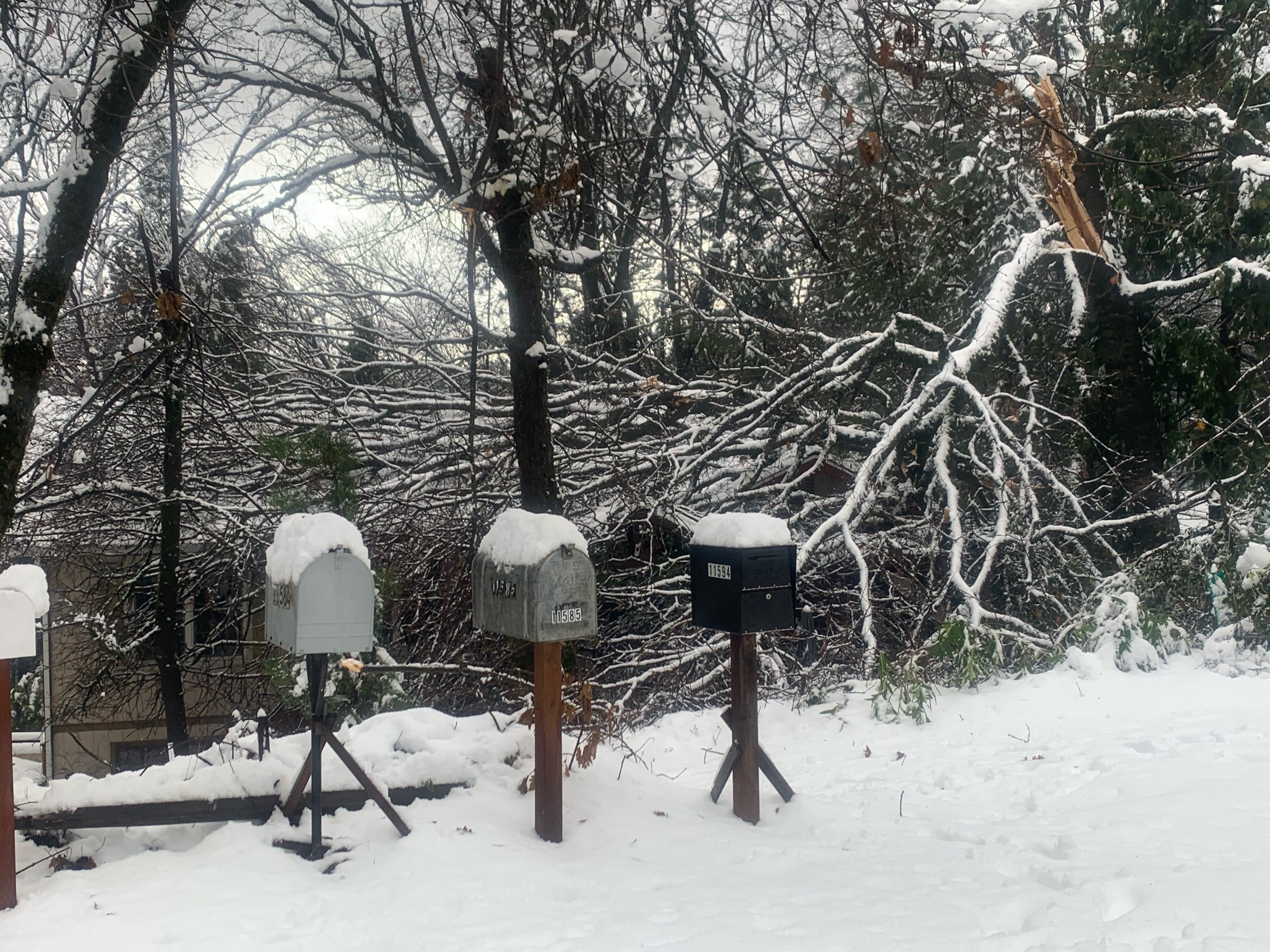 MicrosoftTeams-image (41)