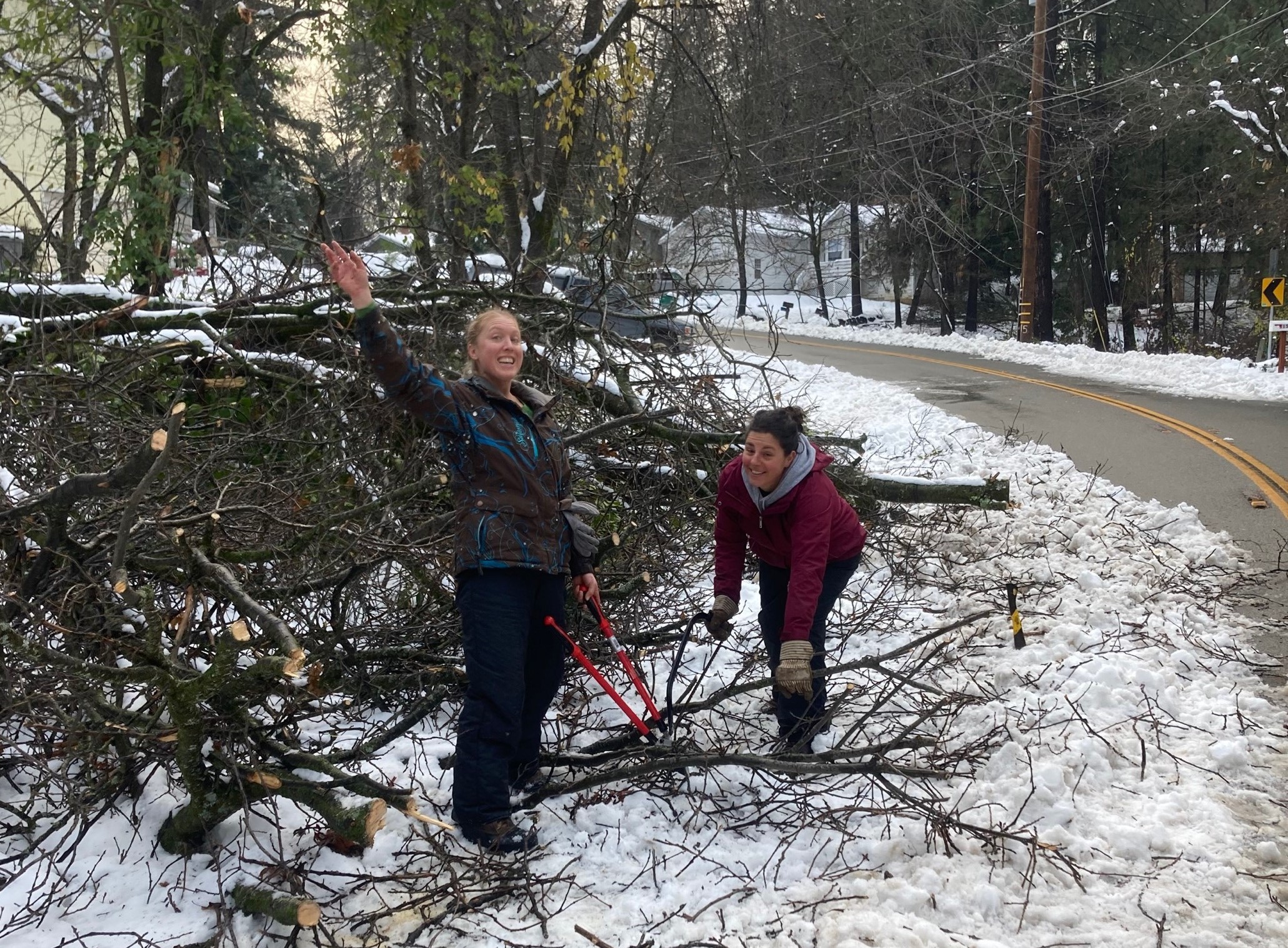 MicrosoftTeams-image (52)