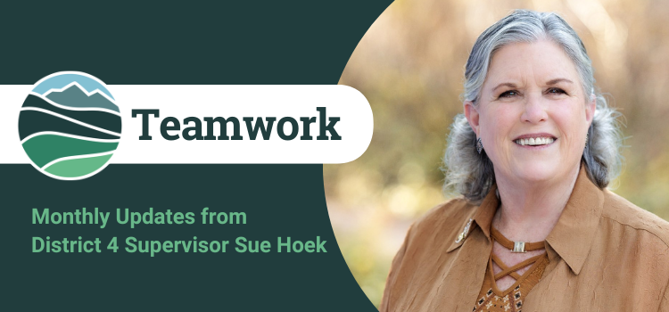 Sue Newsletter Banner