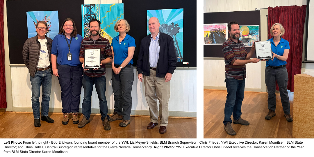 YWI Conservation Partner of the Year