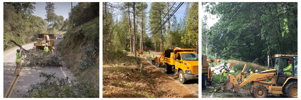 Nevada County Treats Hazardous Roadside Vegetation