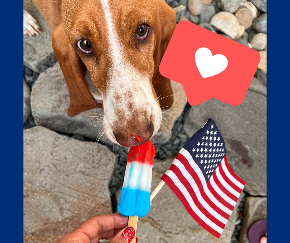 Nevada County Safe 4th of July Holiday