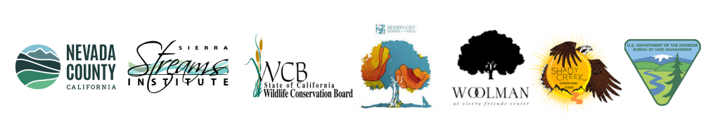 Sierra Foothills Forest Climate Resilience Project