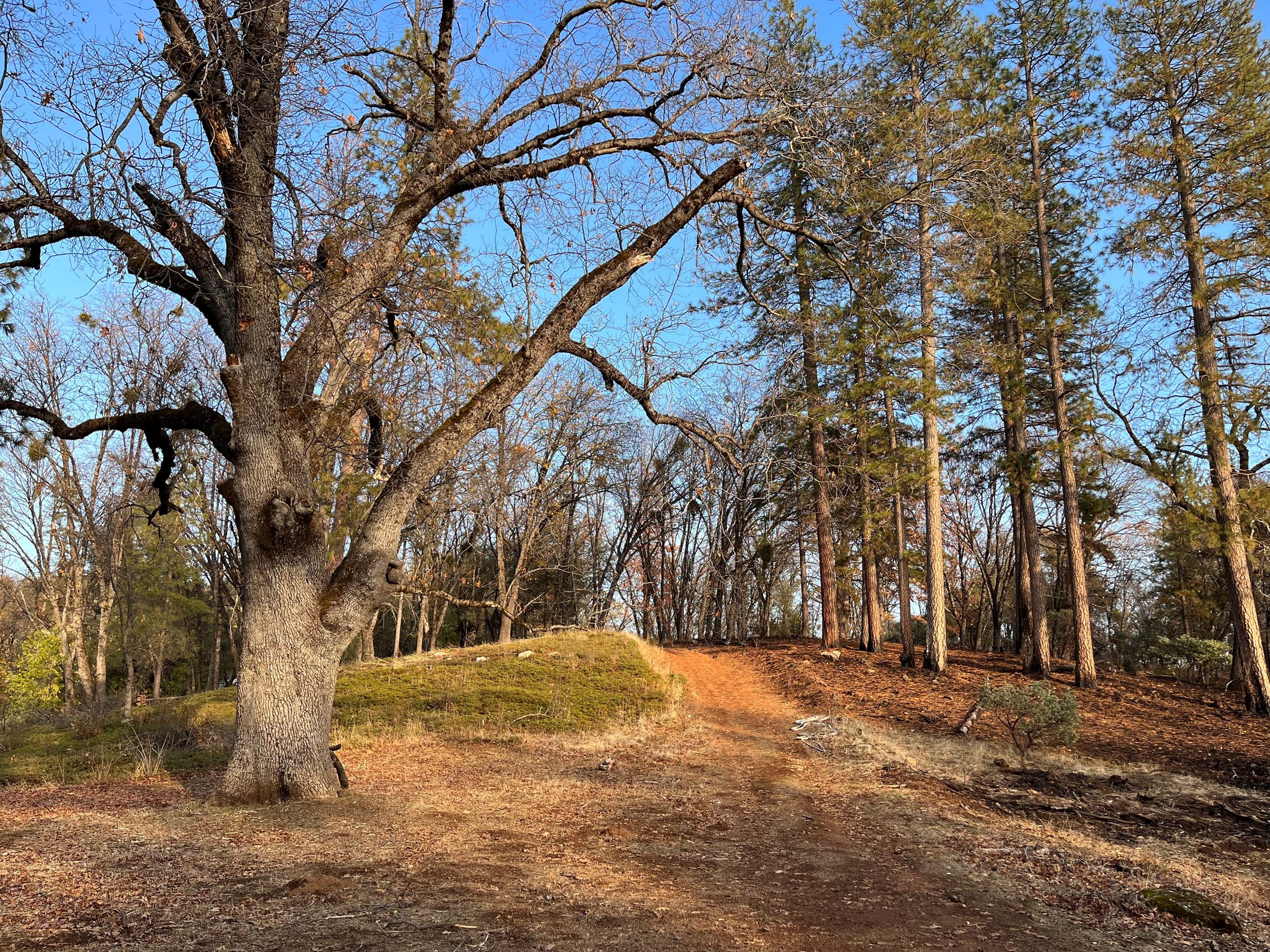 South_Yuba_Rim_Montezuma