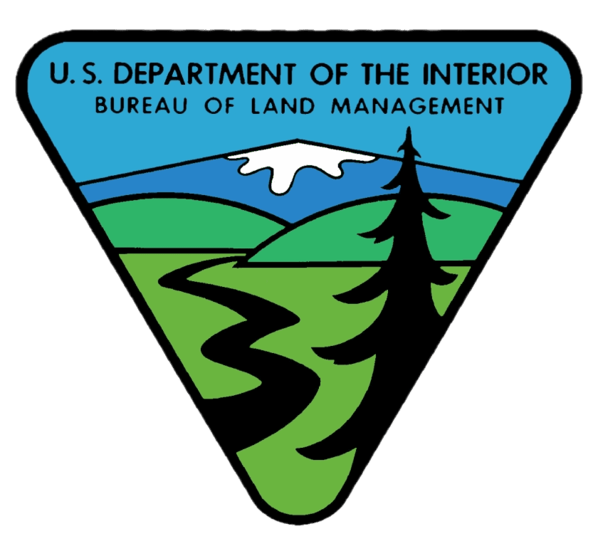 BLM Logo