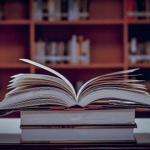 Bear River Library Webpage